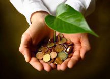 investissement vert argent plante
