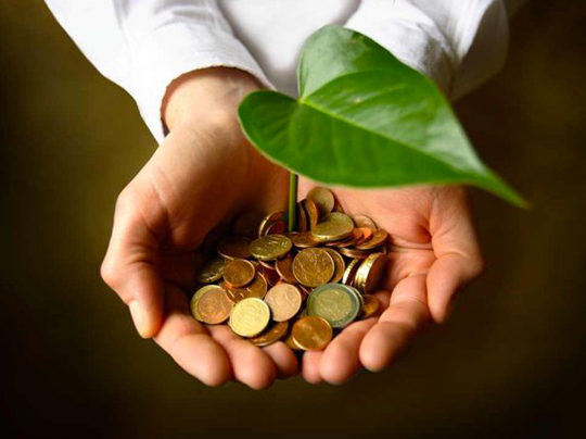 investissement vert argent plante