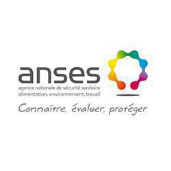 p-anses